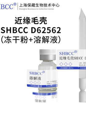 近缘毛壳SHBCC D62562模式菌株麦芽汁琼脂25℃培养冷藏4-10℃斜面