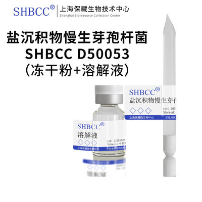 SHBCC盐沉积物慢生芽孢杆冻干粉