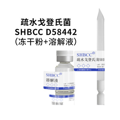 SHBCC疏水戈登氏菌冻干粉现货