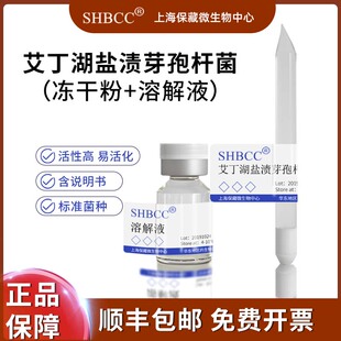 艾丁湖盐渍芽孢杆菌JCM 12389模式菌株10%NaCl-CM培养基28℃培养