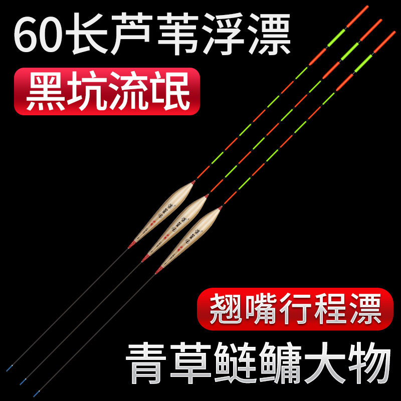 黑坑芦苇大物漂加粗醒目抗走水珠珠行程鱼漂青草鲢鳙远投流氓浮漂,户外/登山/野营/旅行用品,浮漂,淘宝优惠券,粉丝福利购,淘宝优惠卷