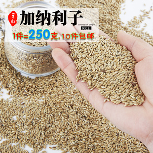 加纳利子/油尖粟/白尖粟 草庐籽虎皮牡丹玄凤鹦鹉鸟粮食饲料250g