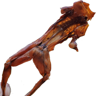 湖南特产农家自制腊牛蛙干牛蛙肉腊味烟熏新鲜田鸡干货250g包邮