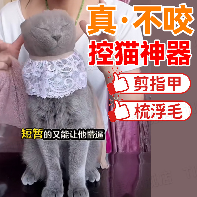 【戴上就听话!】控猫神器防抓伤