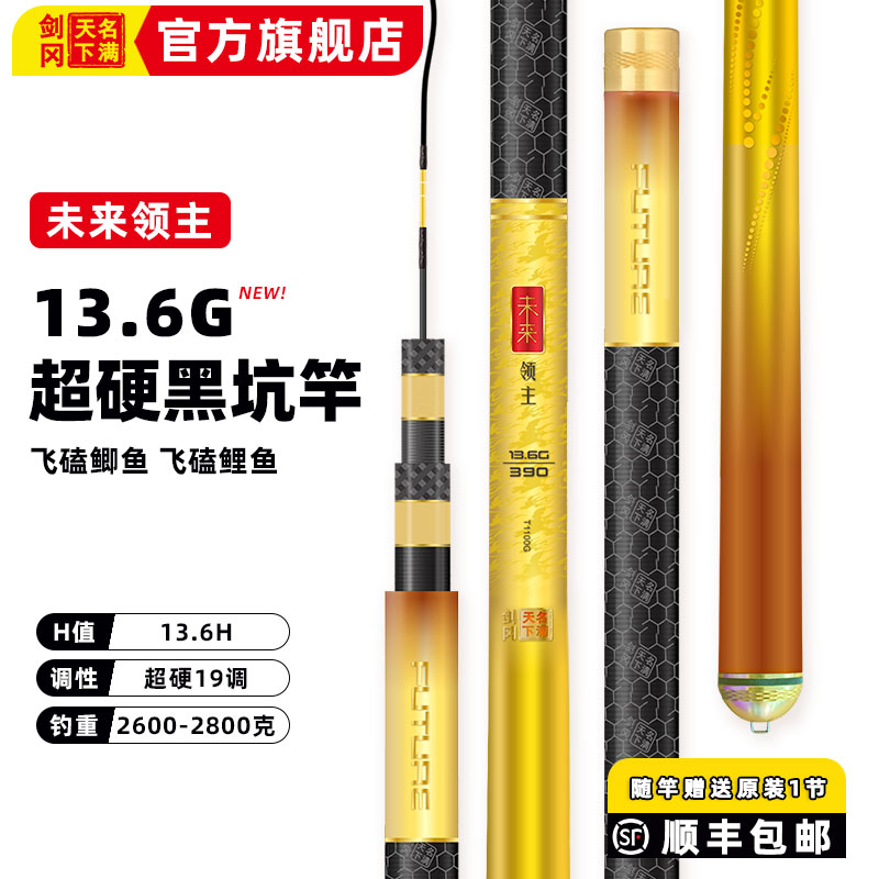 名满天下未来领主13.6G黑坑竿