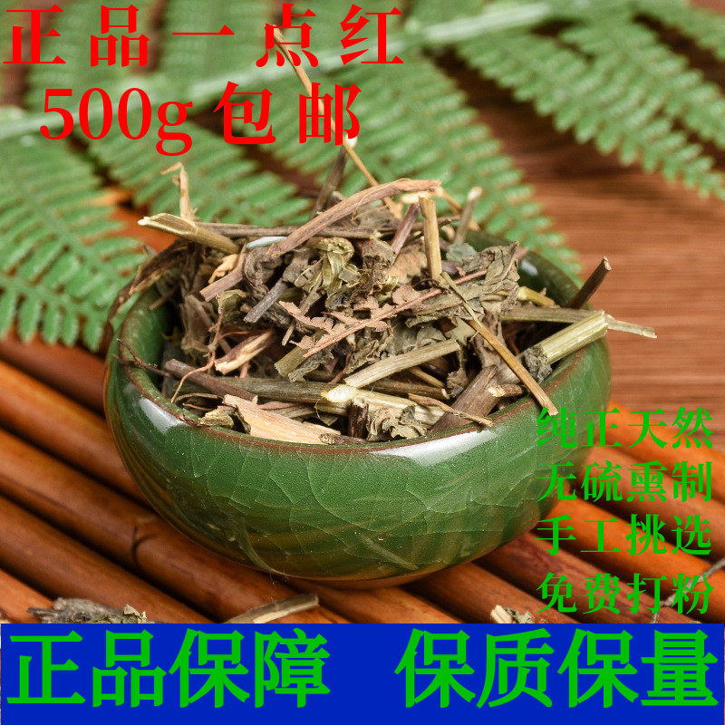 一点红中药材羊蹄草红背叶马蹄草