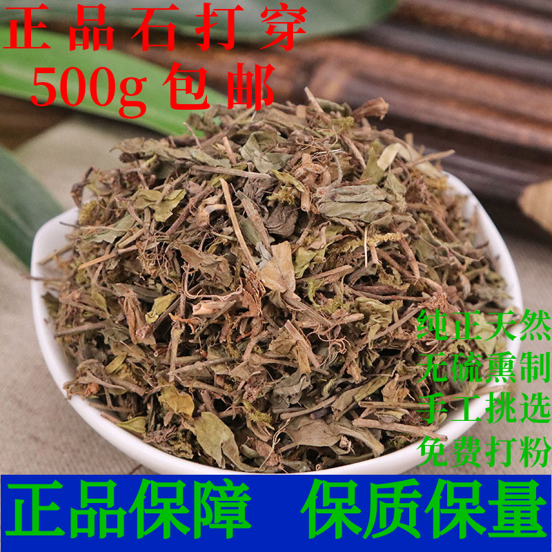 黄毛耳草石打穿虎耳草中药材
