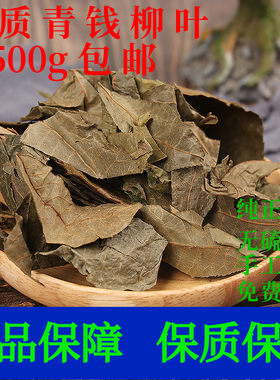 青钱柳叶中药材古树金钱柳泡茶