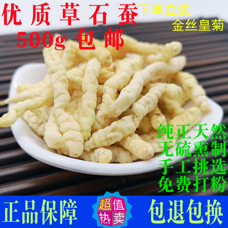 草石蚕虫草参中药材500g包邮地蚕泽兰根土冬虫草白虫草泽兰根地参