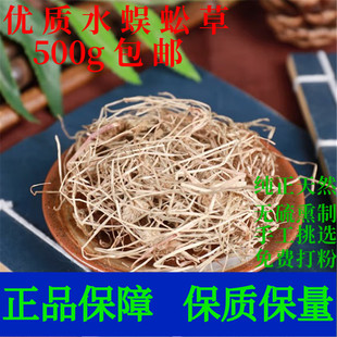 水蜈蚣草中药材500g包邮水蜈蚣 寒气草 散寒草一箭球三荚草金纽草