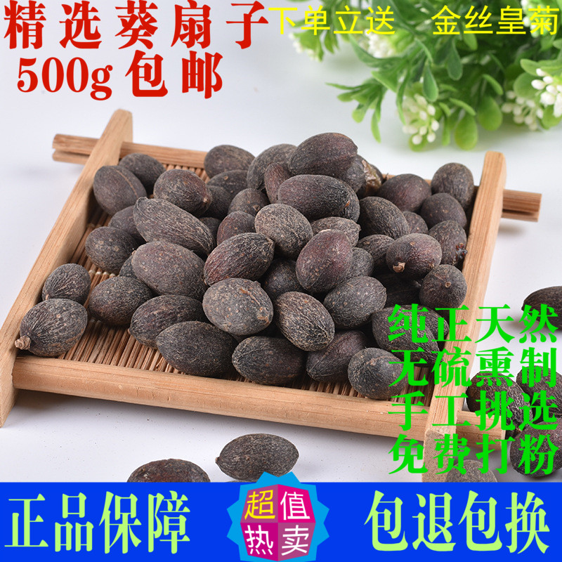 葵扇子葵树子中药材新会蒲葵子