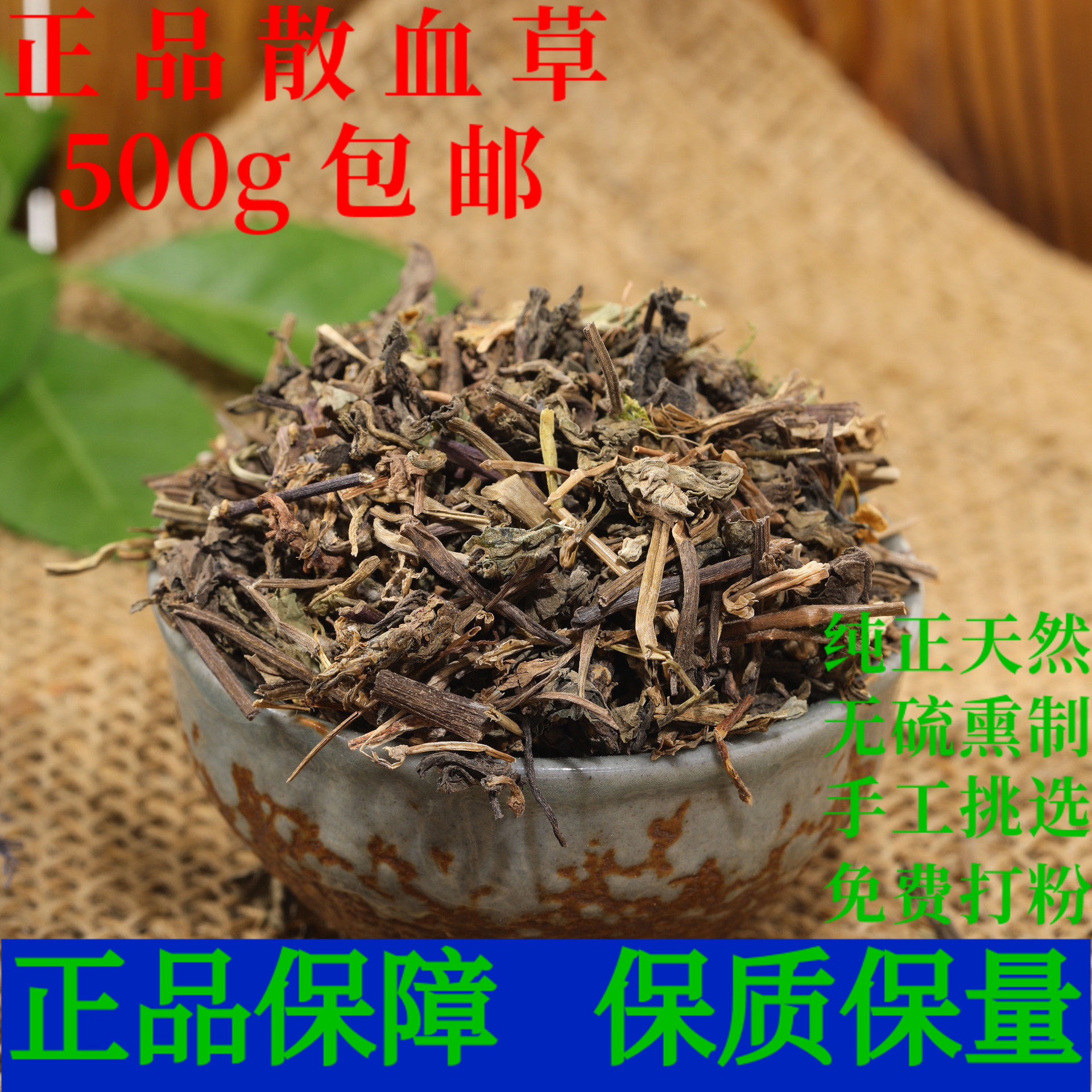 筋骨草散血草中药材白毛夏枯草