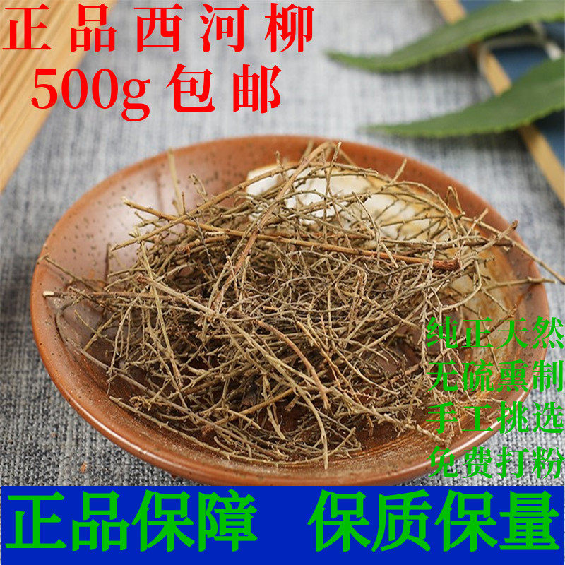 西河柳中药材怪柳山川柳柽柳垂丝