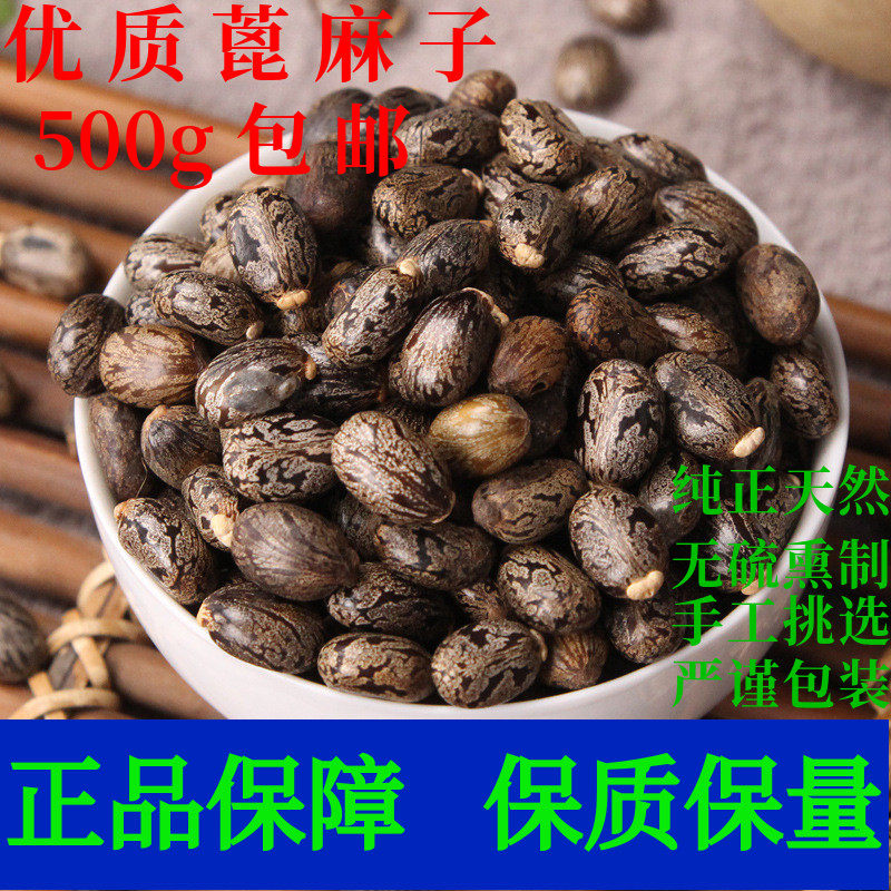 蓖麻子 蓖麻籽中药材新鲜干货500g包邮大粒 蓖麻籽种子 红大麻子