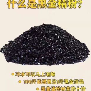 桦树茸正品俄罗斯野生进口黑金精粉可融水 白桦茸250克桦褐孔