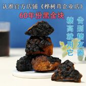 颗粒桦树茸切块正品 养生茶桦树茸俄罗斯进口野生黑金正宗