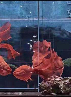 不锈钢金属网立体金鱼空中悬挂软装吊饰防撞雕塑酒店大堂会所展厅