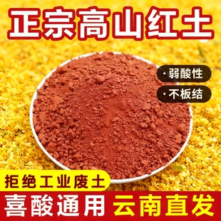 正宗高山红土种植土杜鹃田园土映云南直发通用盆栽花卉专用微酸性
