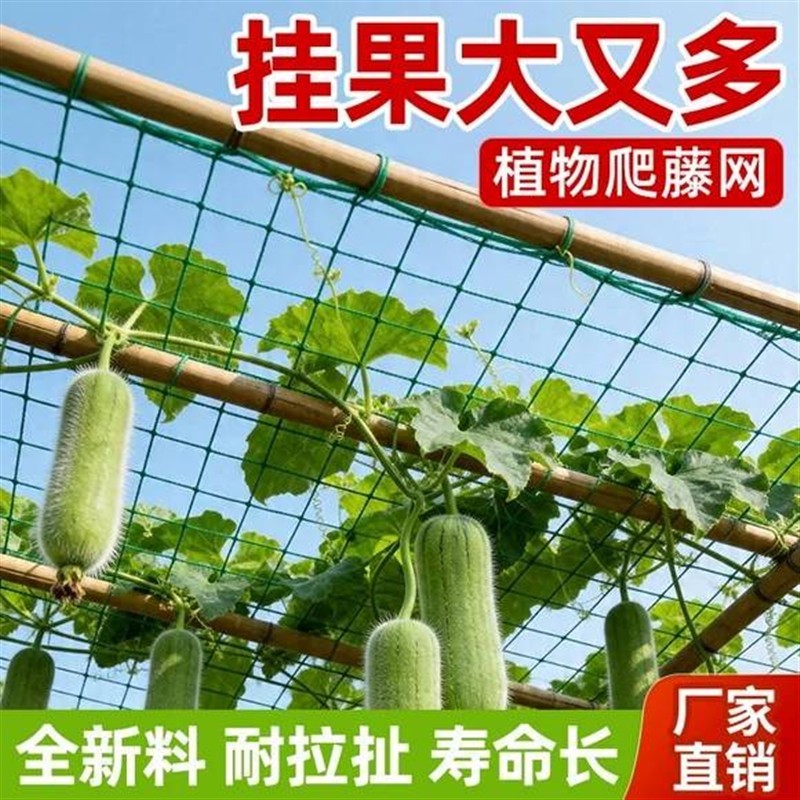 爬藤网植物攀爬网丝瓜豆角黄瓜月季百香果通用瓜果新型瓜果网格网