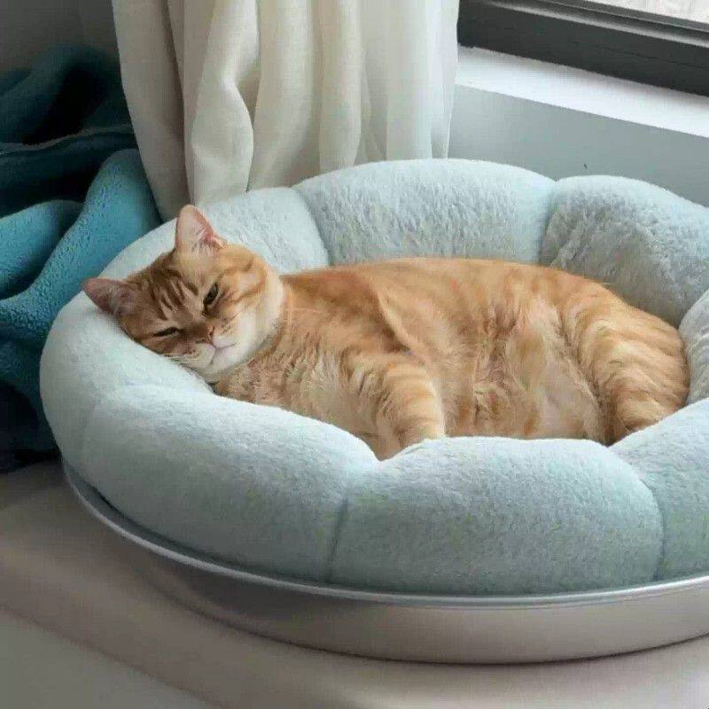 太可爱啦~猫窝猫咪睡窝四季通用垫子小猫床睡觉狗窝毛绒宠物保暖