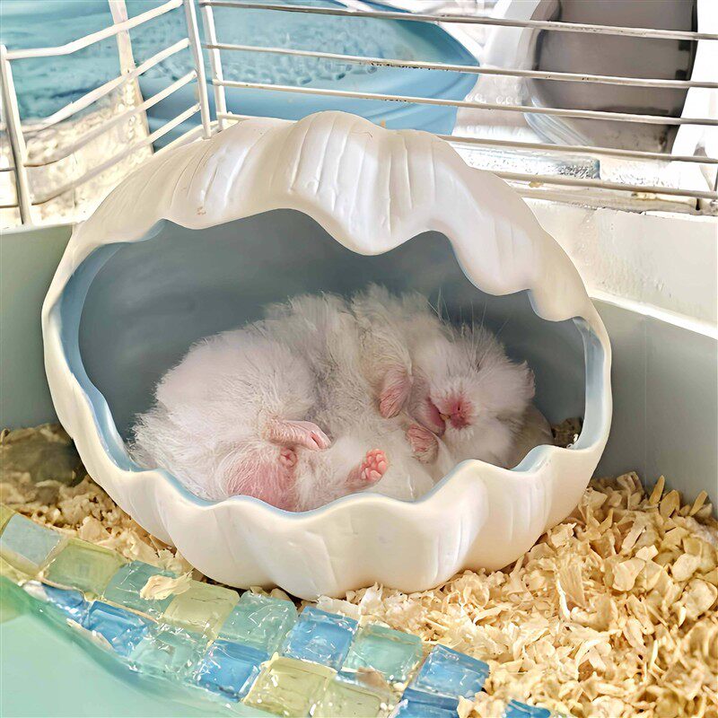 仓鼠贝壳陶瓷窝夏季降温冰垫躲避屋夏天金丝熊防暑降温睡房睡窝