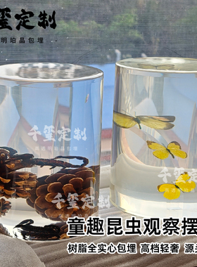 千玺定制实心树脂昆虫标本摆件