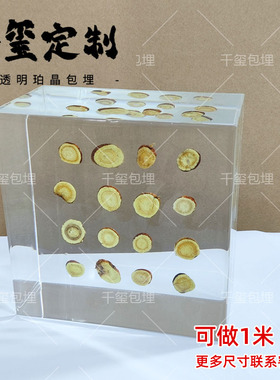 大型中草药标本高透明树脂标本中药馆创意摆设摆柜医药馆科普展览