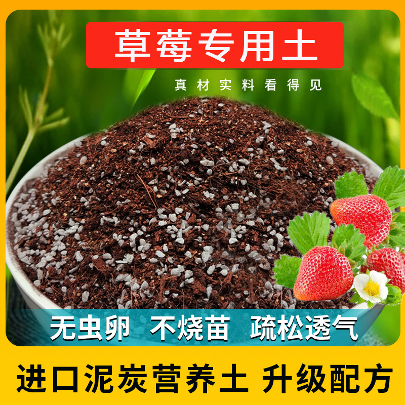 进口泥炭土疏松透气不板结