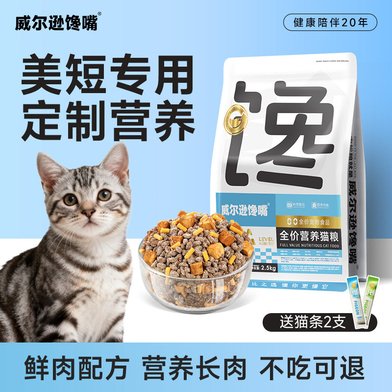 威尔逊馋嘴美短虎斑专用
