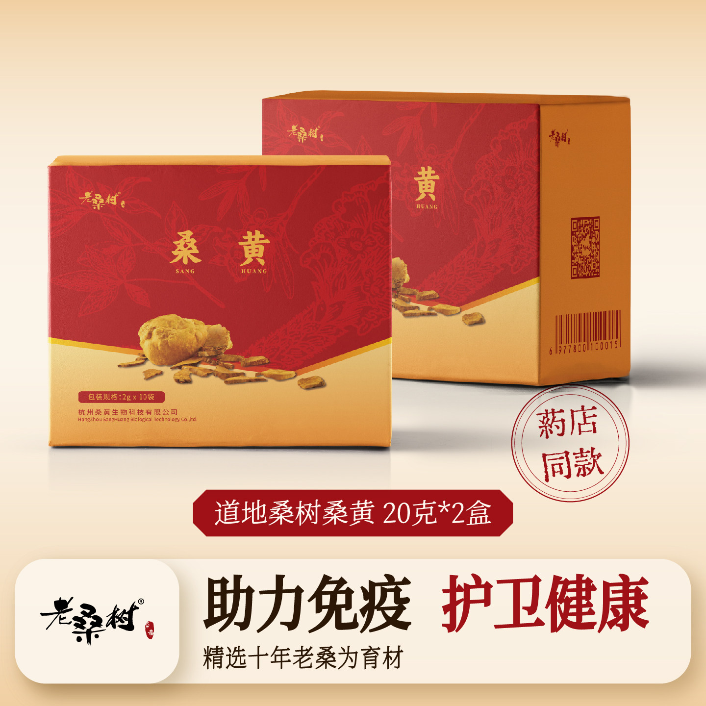 老桑树正宗桑树桑黄纯正菌种养生保健非野生桑黄20g*2盒