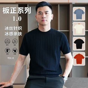 【板正系列】肌理感竖纹纯色圆领短袖上衣男士夏季透气针织款