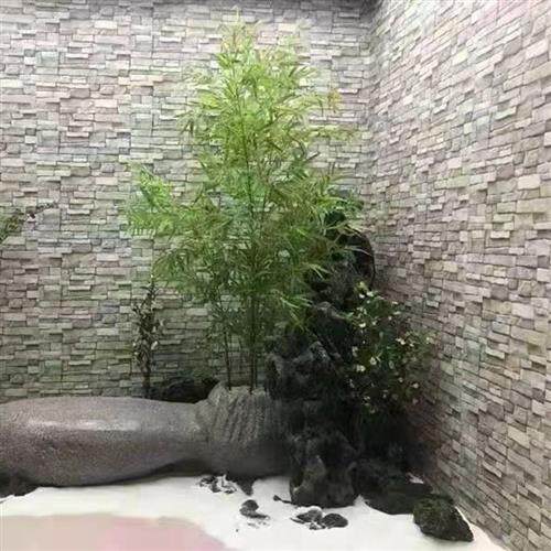 新款仿真竹子盆栽富贵竹金丝竹紫竹室内造景装饰植物小叶禅意竹