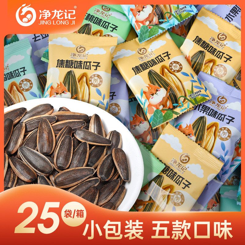 净龙记小包装瓜子厂家批发