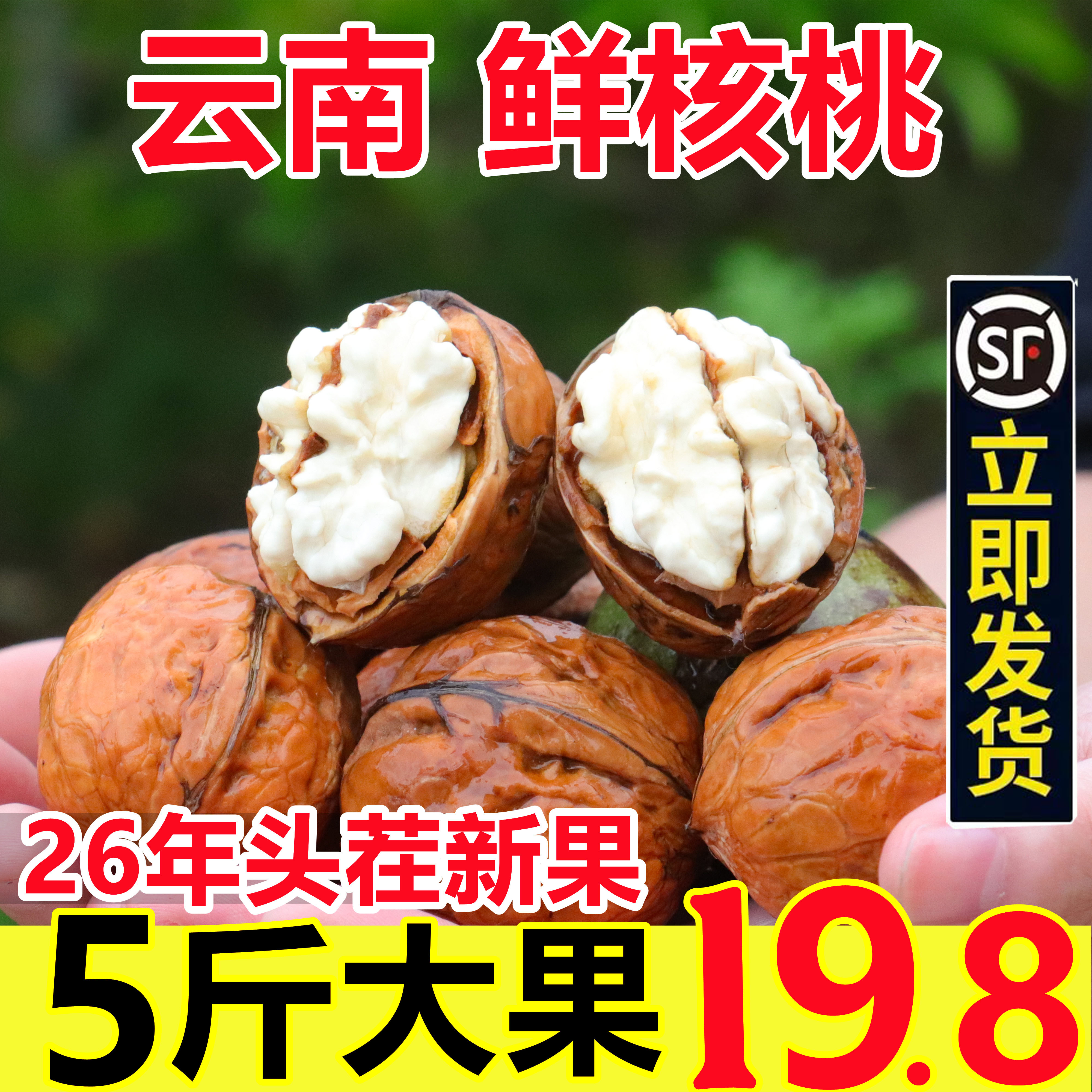 2026新鲜下树核桃大果