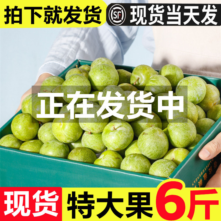 四川青脆脱骨李子现摘新鲜甜脆大果6斤孕妇水果当季时令空心李子