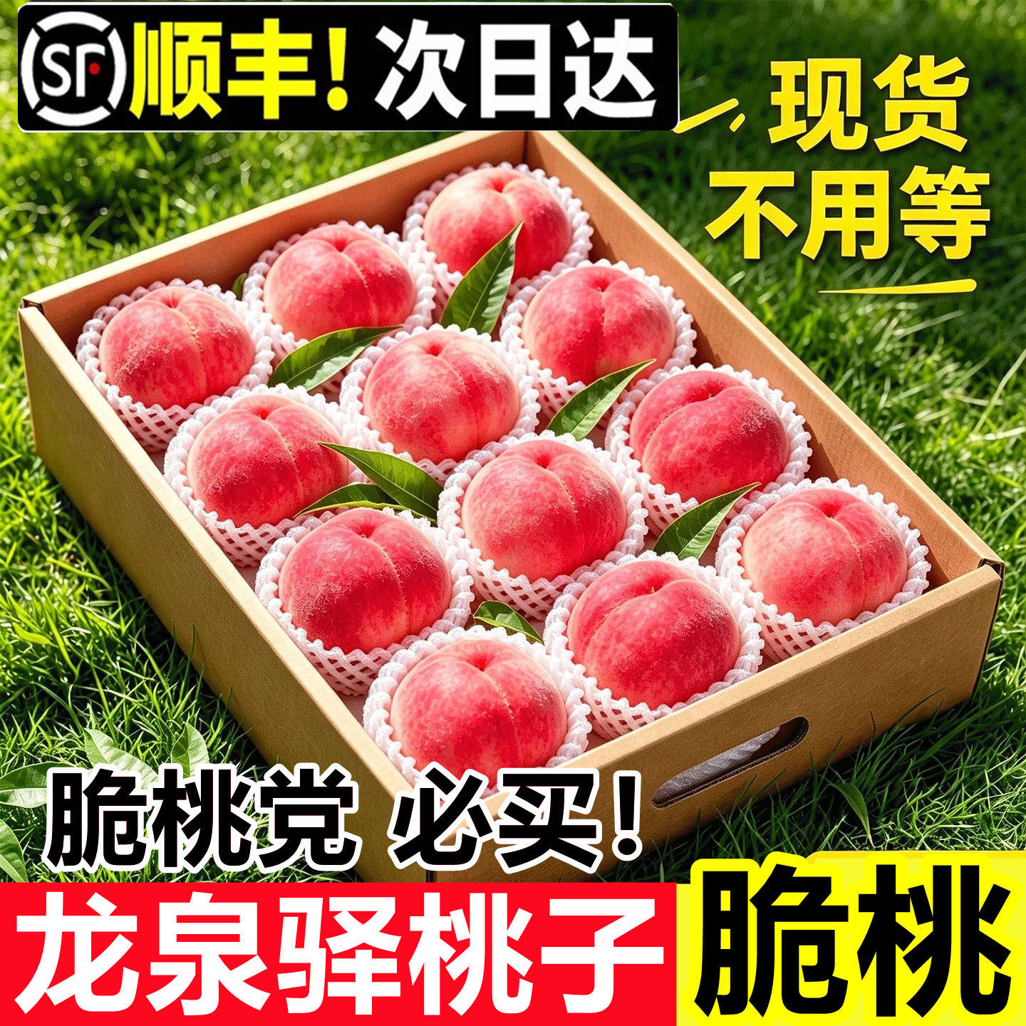【龙泉山脆桃子】嘎嘣脆桃子