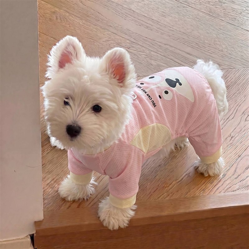 小狗狗衣服夏季薄款猫咪小型犬四脚衣防掉毛冰丝宠物凉凉衣可牵引