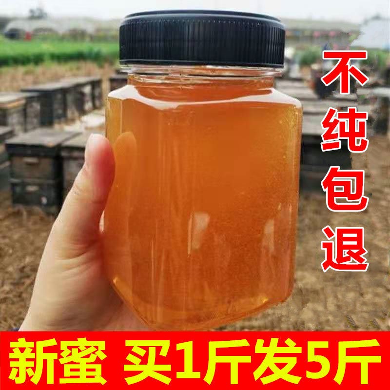 蜂蜜洋槐蜜包邮天然成熟土蜂蜜