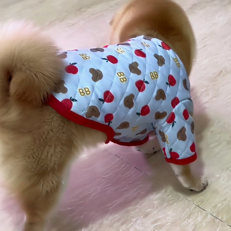 狗狗衣服家居服装彩色熊两腿棉衣秋冬保暖衣简约泰迪比熊衣服加厚,宠物/宠物食品及用品,猫狗碗/慢食碗,淘宝优惠券,粉丝福利购,淘宝优惠卷