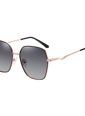 2024新款近视太阳镜女带度数高级