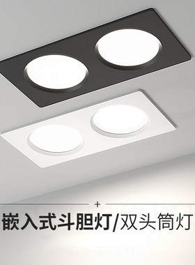双头筒灯led射灯斗胆灯