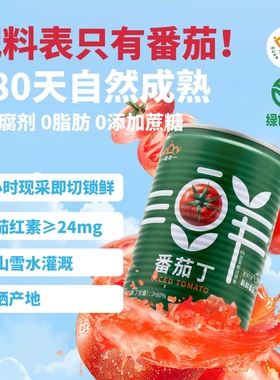 新疆特产冠农番茄丁400g*12罐头新鲜绿色食品西红柿块非酱汁浓汤