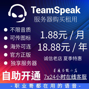 TeamSpeak 3服务器购买租用 TS3服务器 低延迟低占用游戏开黑语音