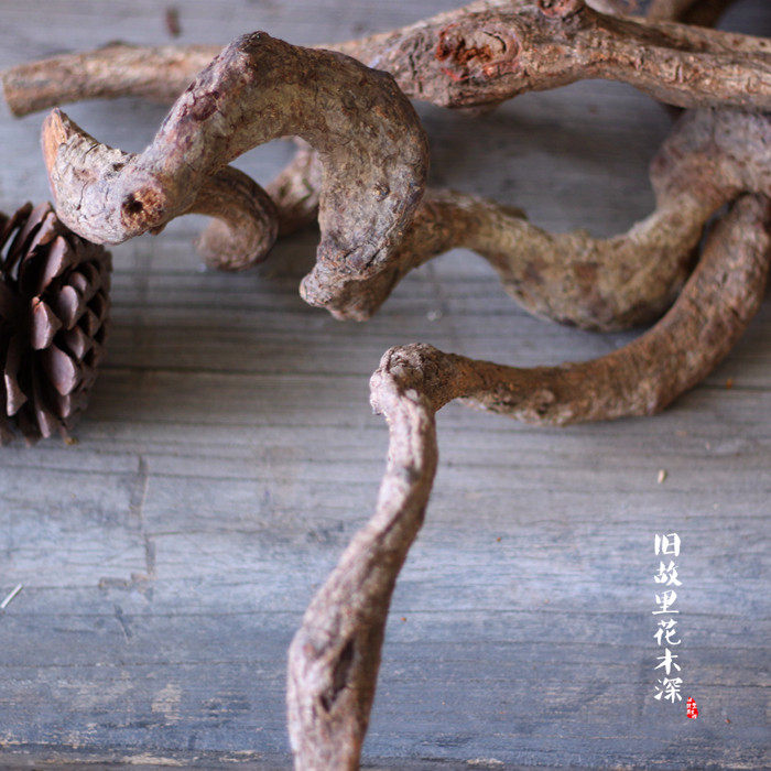干花过江龙藤条家居客厅玄关落地花瓶摆设墙画装饰艺术树根干树枝图片