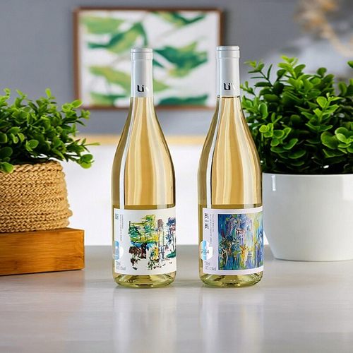利思酒庄宁夏贺兰山东麓产区红酒贵人香干白葡萄酒 半干白750ML