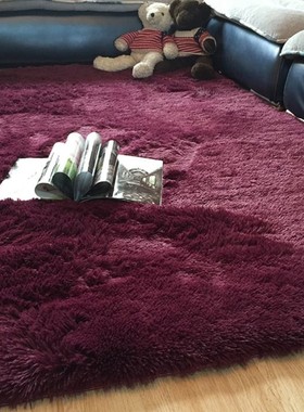 The Living room tea carpet floor mat bedroom full bed blanke