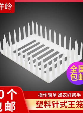 塑料针式扣脾囚王笼防蜜蜂皇逃跑多功能控王笼养蜂蜜专用王笼蜂具
