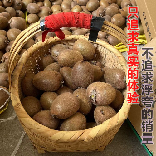 5A品质|翠香猕猴桃奇异果
