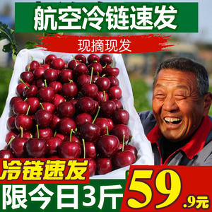 山东露天美早大樱桃新鲜水果国产孕妇大樱桃车厘子露天冷链包邮
