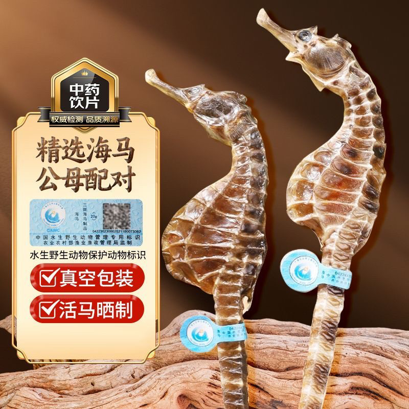 海马干货正品溯源大海马公母配对滋补煲汤泡酒料儿童汤包海龙礼盒